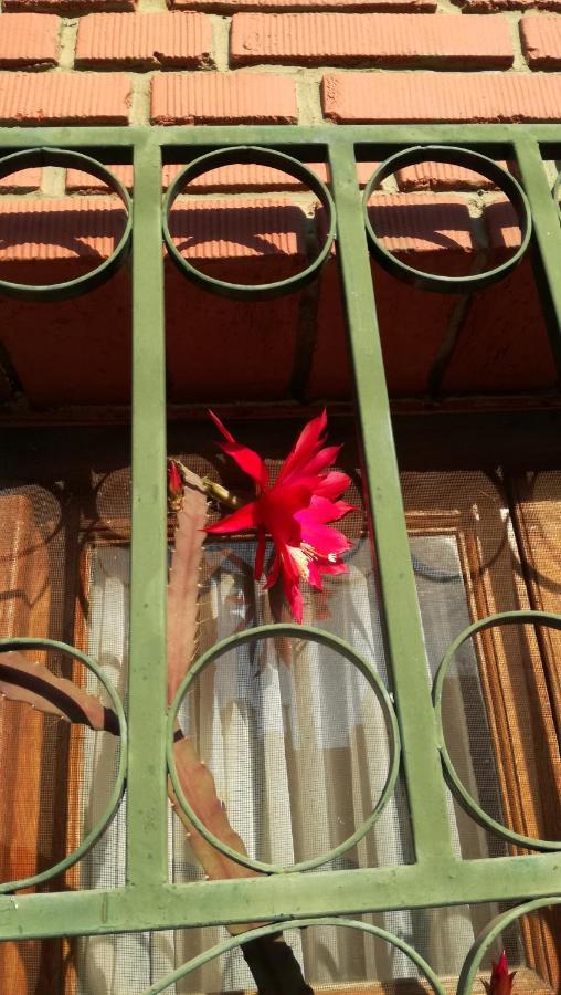 Lo De Su Bed & Breakfast Salta Bagian luar foto